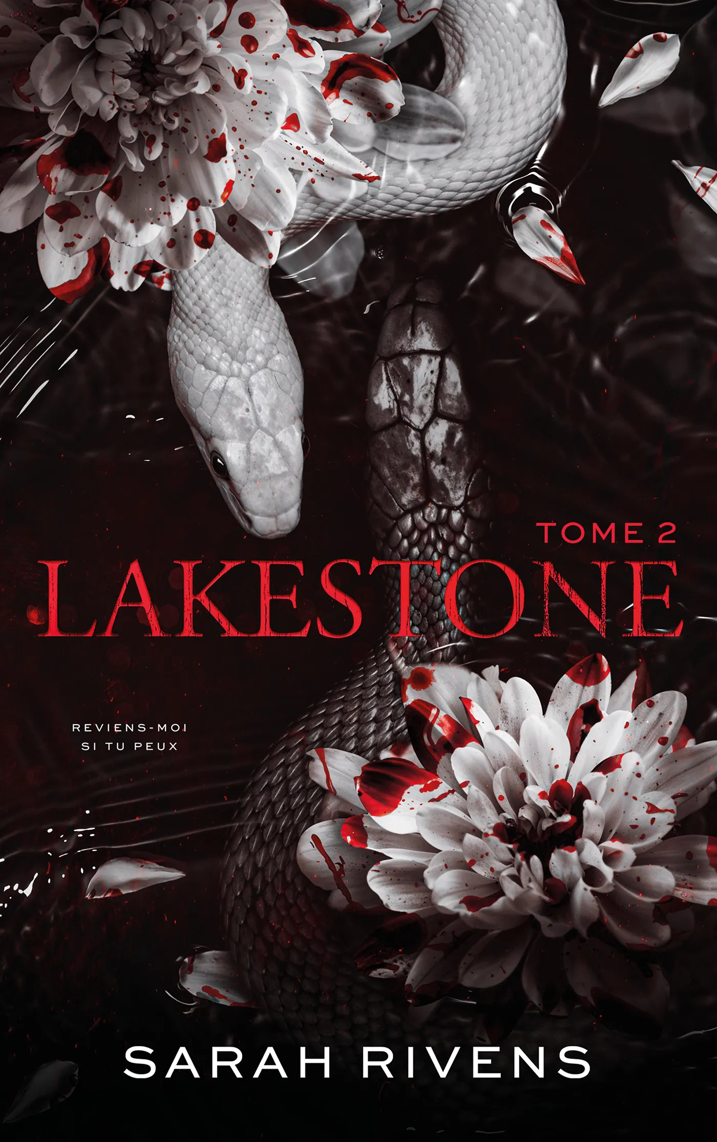 Lakestone tome 2